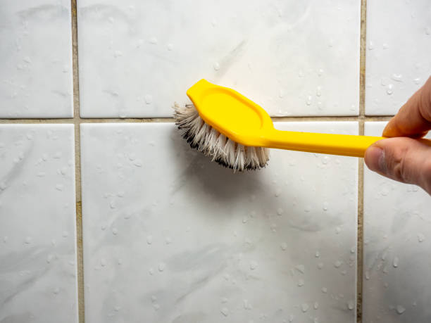 Reliable Tresckow, PA Mold Removal Solutions