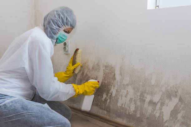 Best Mold Testing  in Tresckow, PA