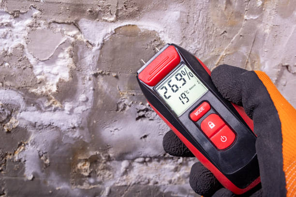 Best Crawl Space Mold Removal  in Tresckow, PA