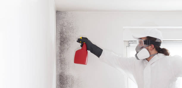 Best Mold Removal Specialists  in Tresckow, PA