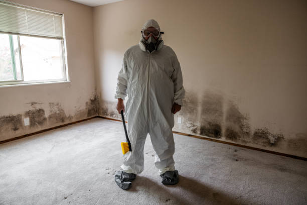 Best Office Mold Removal Services  in Tresckow, PA